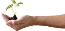 Hand eco